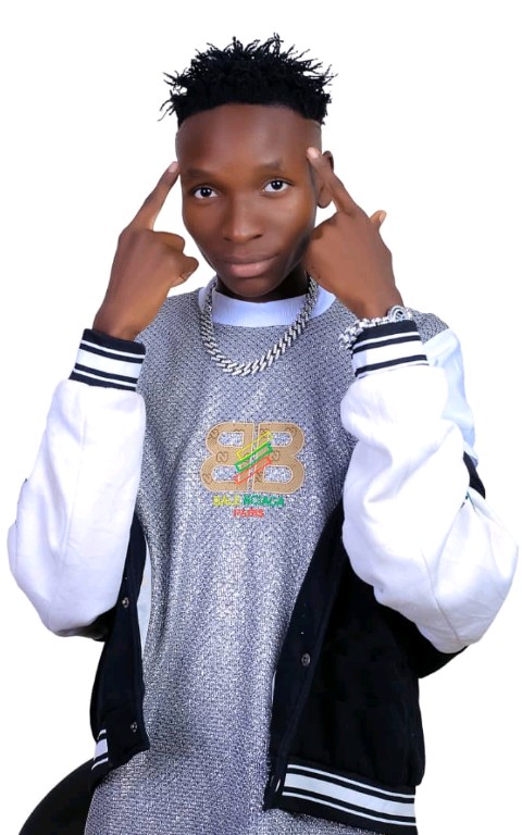 Rocky Boy profile