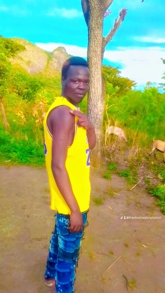 Frankie Master Planner profile