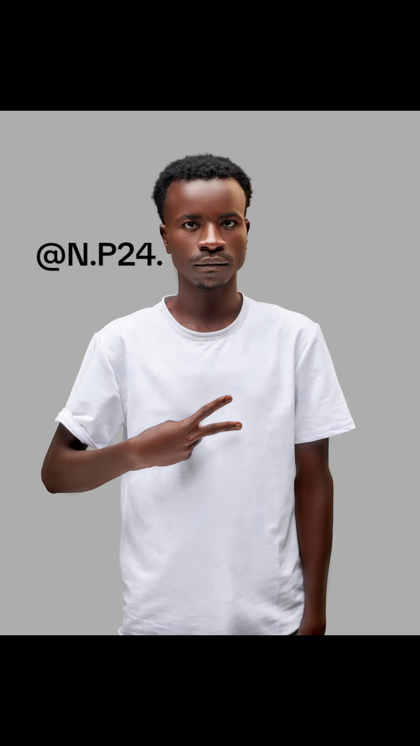 N.P24 profile