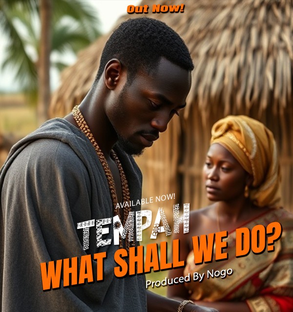 What Shall We Do - Tempah