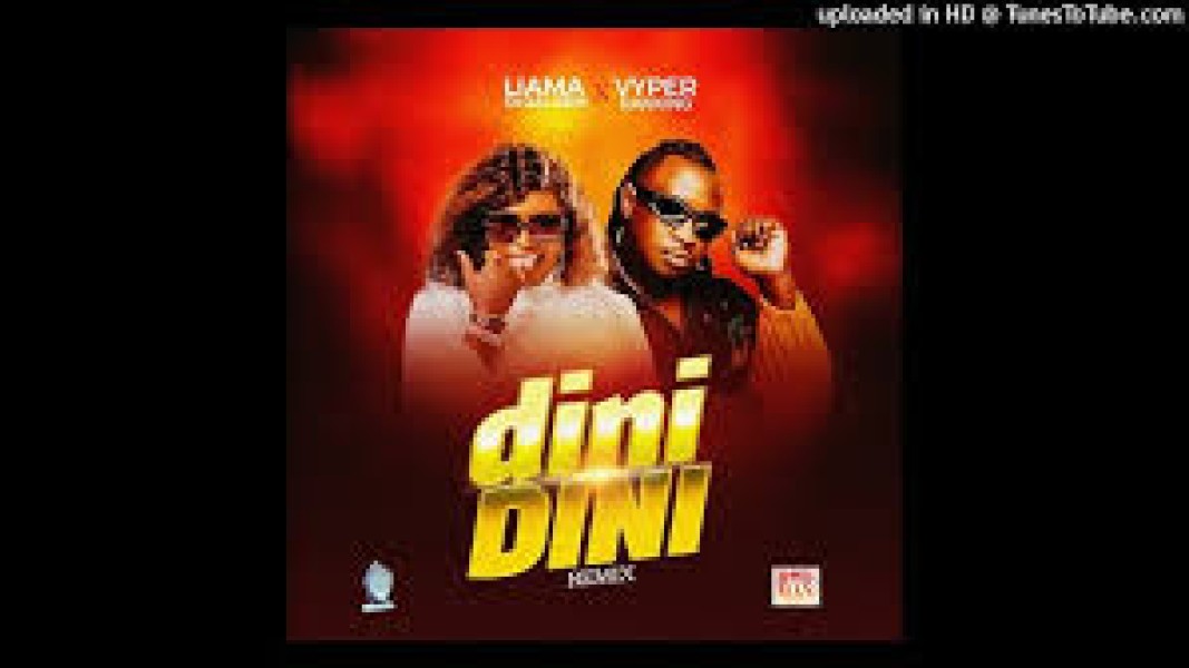 DINI DINI Remix - Liama Ft Vyper Ranking